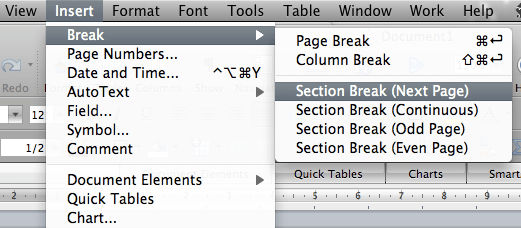 word for mac insert section break